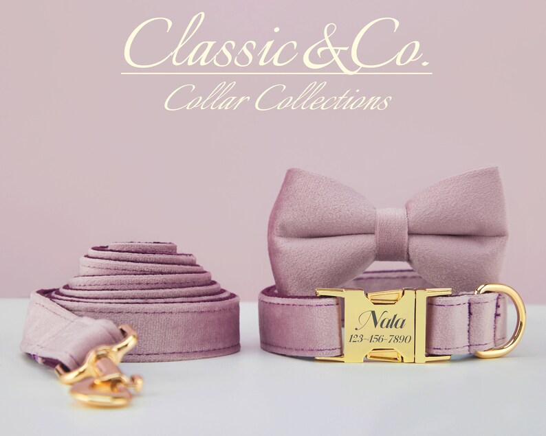 May include: A dusty rose velvet dog collar with a gold buckle and a matching bow tie. The collar is personalized with the name "Nala" and a phone number.  Classic & Co. Collar Collections.