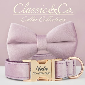 May include: A lavender velvet dog collar with a gold buckle and a matching bow tie. The buckle is engraved with the name "Nala" and a phone number.
