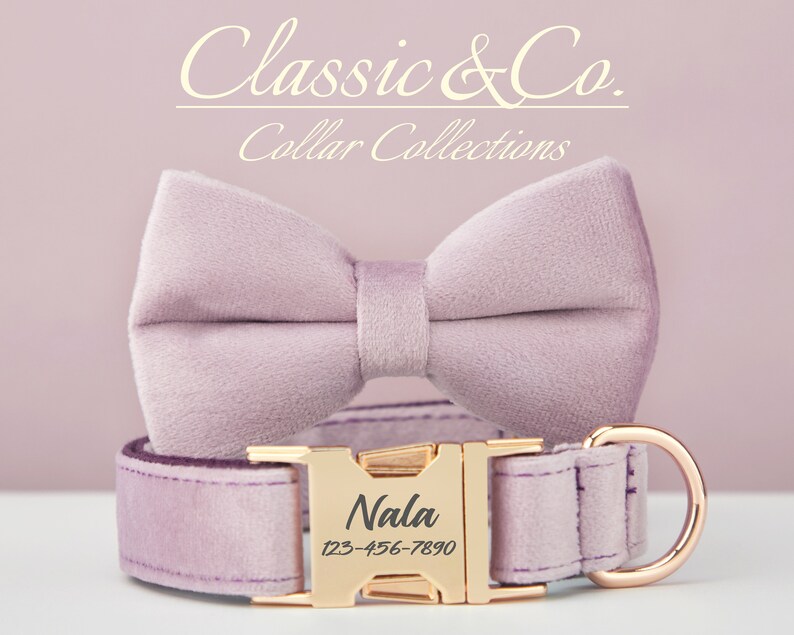 May include: A lavender velvet dog collar with a gold buckle and a matching bow tie. The buckle is engraved with the name "Nala" and a phone number.