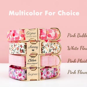 May include: A stack of four dog collars with gold-colored buckles, each with a different pink pattern: pink bubbles, white flower, pink plaid, and pink flower. The text "Multicolor For Choice" is at the top.
