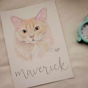 Individuelle Tierportraits handgemalt