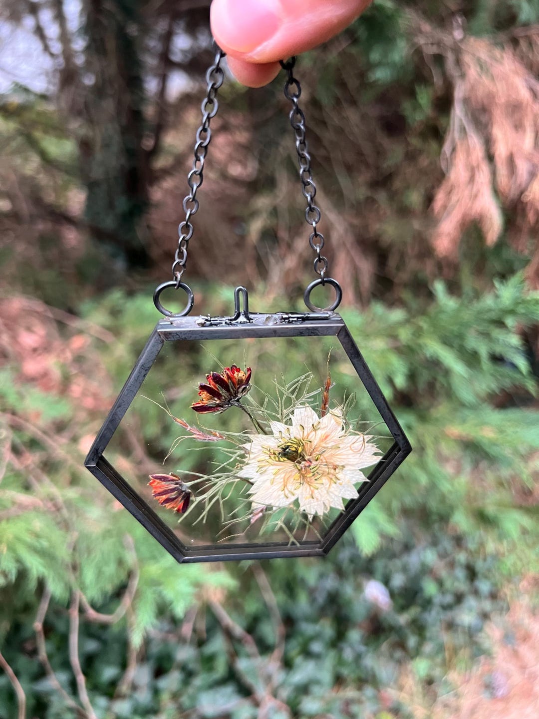 Hanging Pressed Flower Frame, Love-in-a-mist, Botanical Decor - Etsy