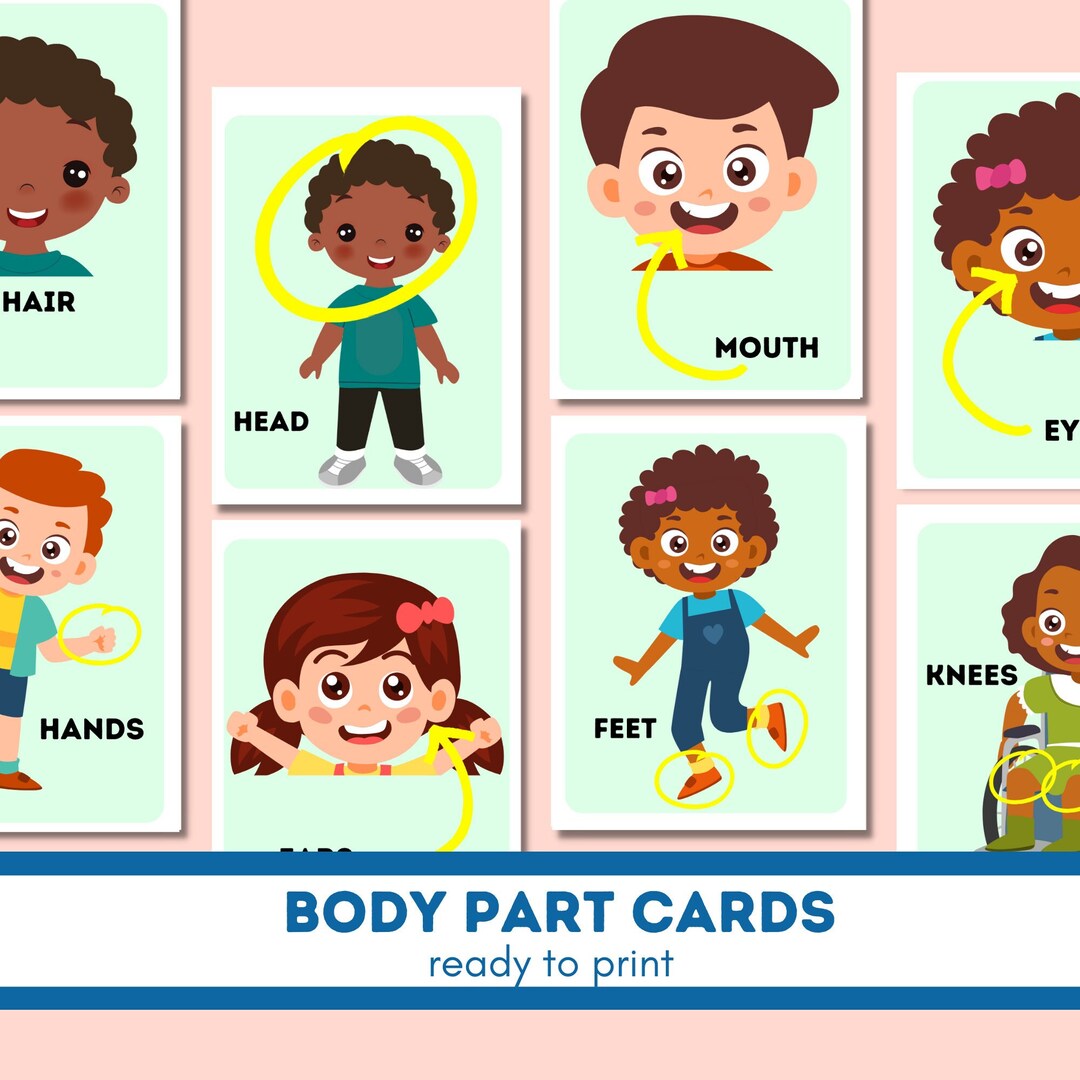 Body Parts Printable Flashcards Montessori Flashcards - Etsy