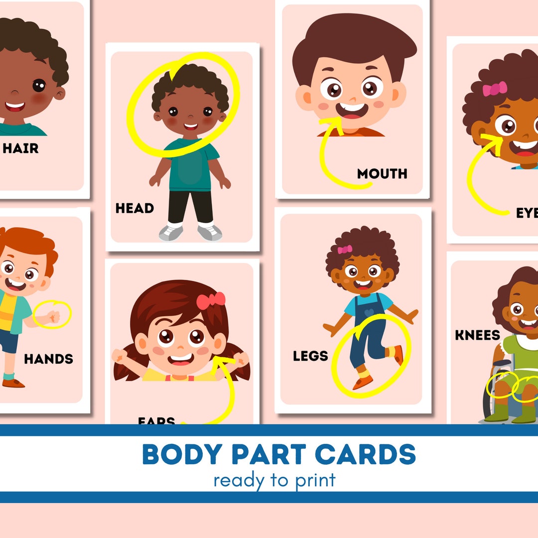 Body Parts Cards Montessori Flashcards Preschool Cards Etsy