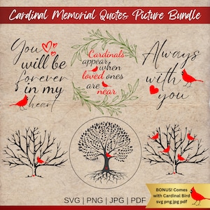 Kardinal Ornament SVG Kardinal-Denkmal-Verzierung Kardinal Weihnachtsverzierung Kardinalverzierung Kardinalverzierung Gedenkstätte Roter Kardinal PNG