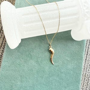 May include: A gold-toned necklace featuring a delicate chain and a smooth, curved horn-shaped pendant. The pendant has a polished, reflective surface and hangs vertically from a small jump ring attached to the thin, metallic link chain.