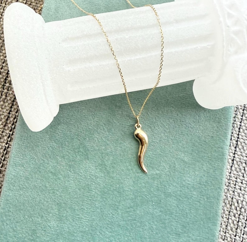 May include: A gold-toned necklace featuring a delicate chain and a smooth, curved horn-shaped pendant. The pendant has a polished, reflective surface and hangs vertically from a small jump ring attached to the thin, metallic link chain.