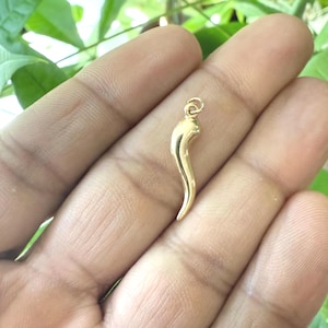May include: A small, polished gold-tone pendant shaped like a curved horn or chili pepper. The pendant features a smooth, reflective surface and includes a small circular jump ring at the top for attachment to a chain or cord for jewelry.