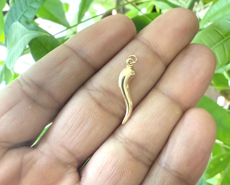May include: A small, polished gold-tone pendant shaped like a curved horn or chili pepper. The pendant features a smooth, reflective surface and includes a small circular jump ring at the top for attachment to a chain or cord for jewelry.