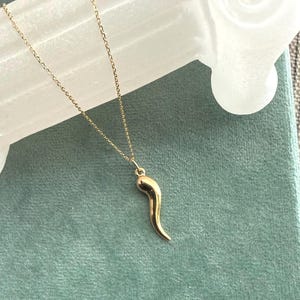 May include: A delicate gold chain necklace featuring a small, smooth, curved horn-shaped pendant. The pendant has a polished, reflective surface and hangs from a thin, fine-link gold chain, creating a simple and elegant piece of jewelry.