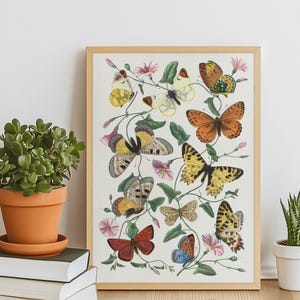 Lámina de mariposa y polilla: ilustración botánica antigua, arte mural de insectos de Gervais de 1842, descarga digital, lámina vintage de naturaleza.