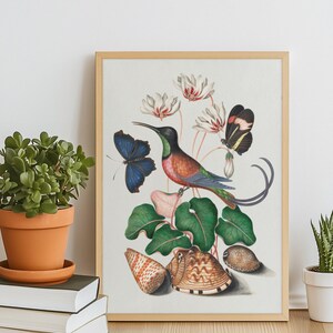 May include: A framed botanical print featuring a hummingbird, butterflies, seashells, and flowers. The artwork has a light background and is set in a natural wood frame. The print is displayed on a wooden surface.