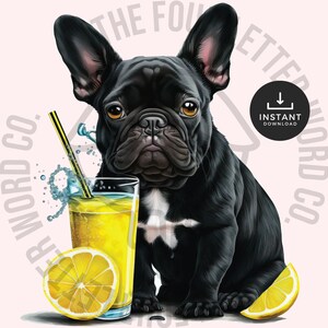 French Bulldog Clipart | French Bulldog Head PNG | Frenchie PNG | Transparent Sublimation Design | Digital Download | FBP1