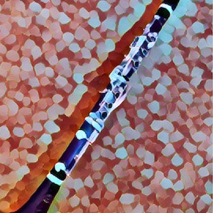 May include: A black clarinet with white and black accents on a red and blue background.