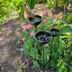 Mini Metal Rain Catcher Plant Supports – Rustic Garden Decor, Handmade Trio