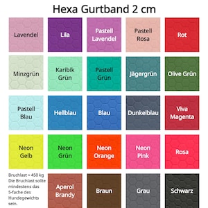 Puede incluir: Una carta de colores con 20 colores diferentes, cada uno con un patrón hexagonal. Los colores están etiquetados en alemán, incluyendo Lavendel, Lila, Pastell Lavendel, Pastell Rosa, Rot, Minzgrün, Karibik Grün, Pastell Grün, Jägergrün, Olive Grün, Pastell Blau, Hellblau, Blau, Dunkelblau, Viva Magenta, Neon Gelb, Neon Grün, Neon Orange, Neon Pink, Rosa, Aperol Brandy, Braun, Grau y Schwarz. La carta también incluye el texto "Hexa Gurtband 2 cm" y "Bruchlast = 450 kg Die Bruchlast sollte mindestens das 5-fache des Hundegewichts sein."