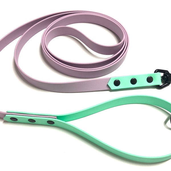 Biothane leash with hand loop, two-tone, 2 cm wide dog leash, ring in the hand loop, leash with safety carabiner