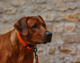 4 cm breites Biothanehalsband für große Hunde, sehr brietes Halsband, individuell nach deinem Geschmack