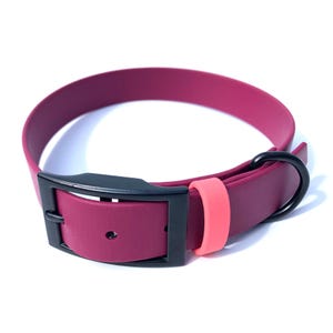 Puede incluir: Un collar para perro magenta con hebilla negra y anilla en D negra a juego. Presenta un pequeño lazo rosa claro. El collar está hecho de un material flexible.