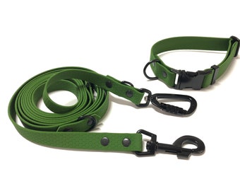 Set of collar and leash, 2 cm wide dog collar made of Hexa webbing, leash with safety carabiner or other