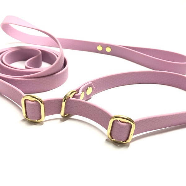 Retriever leash made of hexa webbing, leash with collar, slip collar, retriever leash with hand strap