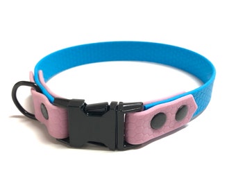 Two-tone dog collar, custom dog collars in your favorite colors, collar for dogs