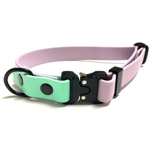 Può includere: Un collare per cani di colore lavanda e verde menta con una fibbia nera e un anello a D in metallo nero.