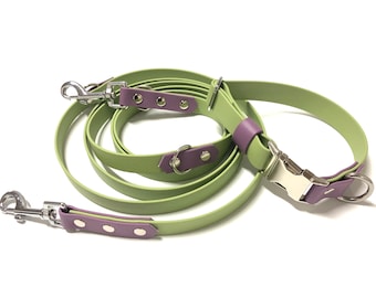 250 cm lange riem met halsband, individuele set gemaakt van Biothane, 2-kleurenset voor honden, halsband en riem