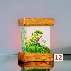 K&ouml;nnte beinhalten: Eine Holzkiste mit einer Glasfront, die ein Miniatur-Terrarium mit gr&uuml;nen Pflanzen, einer kleinen wei&szlig;en Figur und einer roten Beere enth&auml;lt. Die Kiste ist von innen beleuchtet und erzeugt ein warmes Leuchten auf die Szene. Die Zahl "12" ist auf einem wei&szlig;en Etikett geschrieben.
