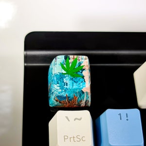 May include: A blue and brown resin keycap with a green marijuana leaf design. The keycap is for a mechanical keyboard and has the text "PrtSc" on it.