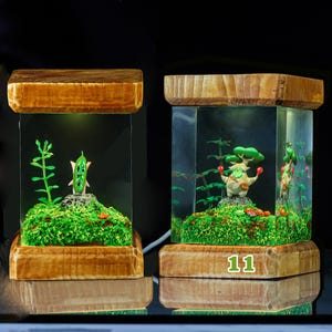 K&ouml;nnte beinhalten: Zwei h&ouml;lzerne Terrarien mit Glaseins&auml;tzen, jedes mit einer kleinen gr&uuml;nen Pflanze und einer Figur. Das Terrarium rechts hat die Nummer 11 auf der Vorderseite.