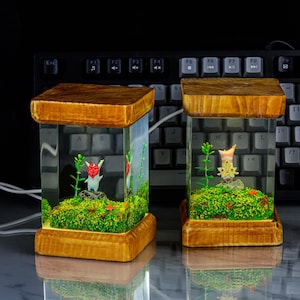 K&ouml;nnte beinhalten: Zwei gl&auml;serne Terrarien mit Holzrahmen, in denen sich eine kleine gr&uuml;ne Pflanze und eine kleine Figur befinden. Die Terrarien sind von innen beleuchtet und stehen auf einer schwarzen Tastatur.
