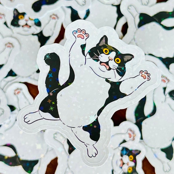 Fat Cat Sticker, Overweight Cat Sticker, Black and White Cat Sticker, Lazy Cat Sticker