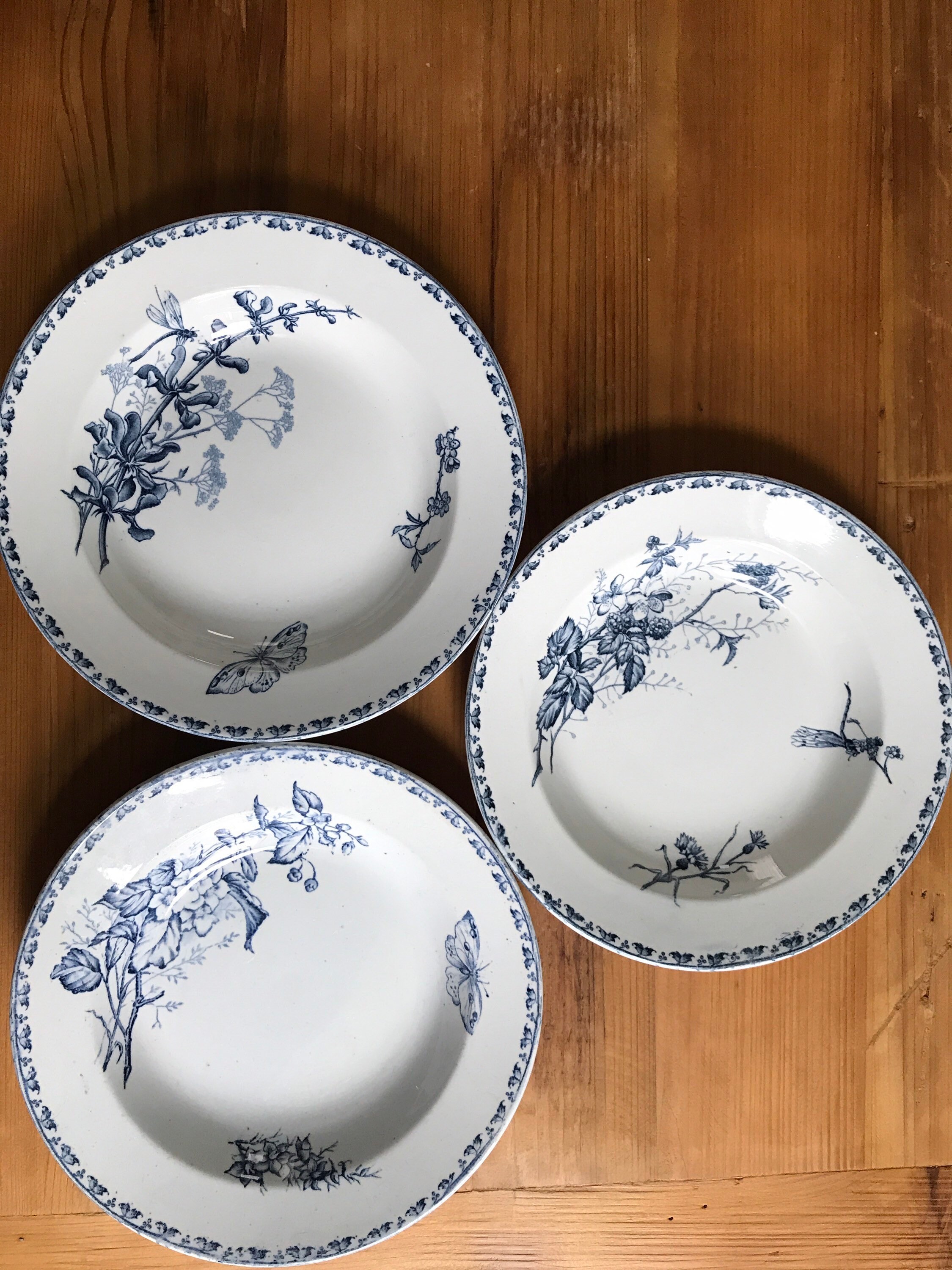 Assiette Ancienne Terre de Fer Uetc Sarreguemines Modèle Carmen Circa 1920