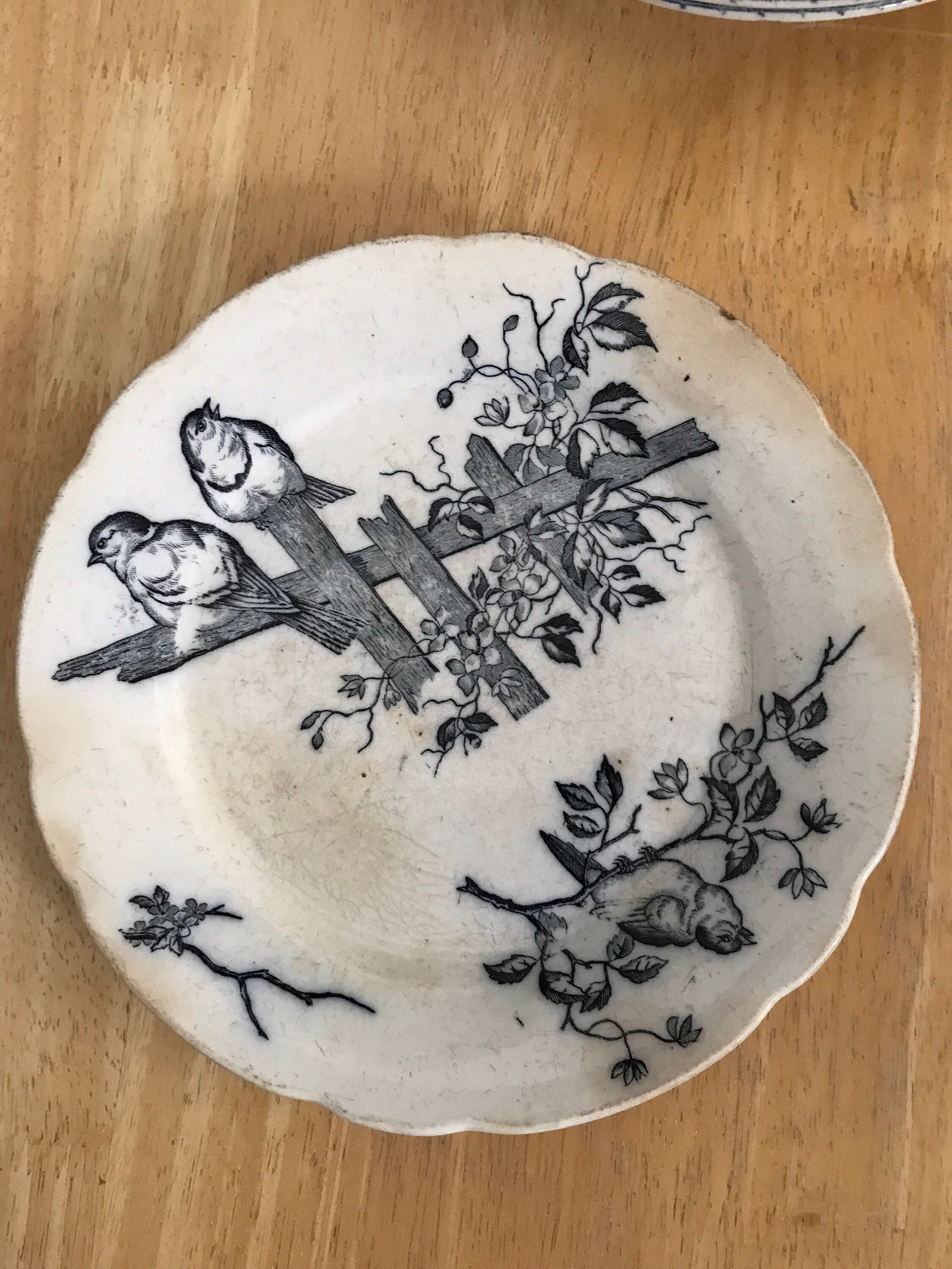 Assiette Ancienne, Terre de Fer, Décor d'oiseaux Circa 1900