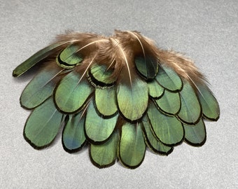 Petites plumes d'Amherst vertes irisées sélectionnées à la main pour les réservations de ferraille, 1 à 2 pouces, coiffure pour chapeau, décoration de maison, cadeau pour elle