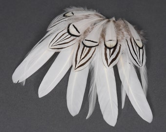 Sac assorti de plumes blanches, collection de 20 petites plumes blanches, fabrication de chapeaux, décoration d'intérieur de mariage bricolage, attrape-rêves, créations artisanales de plumes
