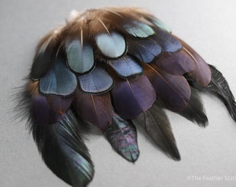 Mélange de plumes irisées, collection de 20 plumes de faisan noir et queue de coq, fournitures pour confection de chapeaux, décoration d'intérieur DIY, attrape-rêves