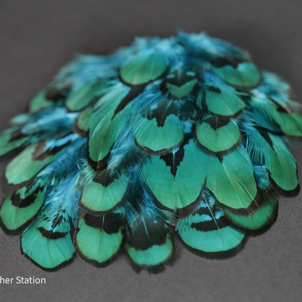 Turquoise dyed Midnight Venery Reeves pheasant, 1-2", 3-5 cm, Blue green craft feathers, Small DIY Plume, Accessories Jewelry Creation decor