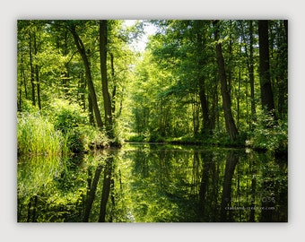 Bild Spreewald Leinwand Wald - Wandbild für Wohnzimmer - Aufhängefertige Fotokunst direkt von der Künstlerin - Kostenloser Versand