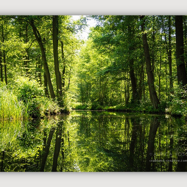 Bild Spreewald Leinwand Wald - Wandbild für Wohnzimmer - Aufhängefertige Fotokunst direkt von der Künstlerin - Kostenloser Versand