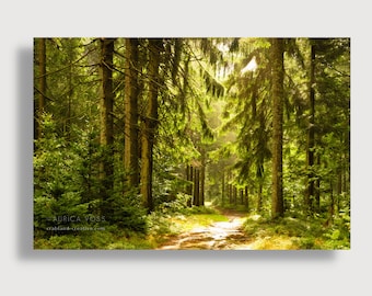 Leinwandbild Bayerischer Wald - Wohnzimmer Bild XXL Büro Deko Wald Bild - Aufhängefertige Fotokunst kaufen direkt von der Fotografin