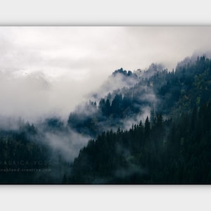 Wandbild Alpen Wald im Nebel - Leinwand Wohnzimmer - Natur Bild - Aufhängefertige Fotokunst kaufen direkt von der Fotografin