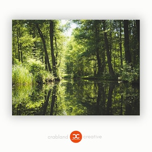Großes Bild Spreewald Leinwand Wald - Wandbild für Wohnzimmer - Aufhängefertige Fotokunst direkt von der Fotografin - Kostenloser Versand