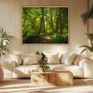 Wald Poster Regenwald – Hoh Rainforest Wandbild – Natur Bild Großformat – Dschungel Kunst – XXL Poster für Wohnzimmer - Versand kostenlos