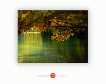 Póster Bosque en el lago Alpsee - Imagen de bosque otoñal - Arte mural forestal - Fotomural listo para colgar directamente del artista - Envío gratuito