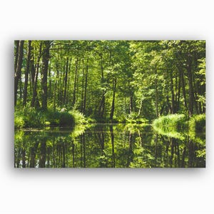 Spreewald Poster - Natur Wandbild - Spreewaldkanal - Wohnzimmer Schlafzimmer Bild XXL - Direkt von der Künstlerin - Versand kostenlos