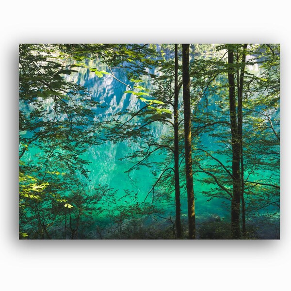 Poster Wald - Natur Bild Königssee - Wandbild Wohnzimmer - Aufhängefertige Fotokunst direkt von der Künstlerin - Kostenloser Versand
