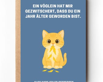 Lustige Geburtstagskarte für Katzenliebhaber witzige Karte Geburtstag Katze Geburtstagsgeschenk Katzenmama Postkarte Freundin Geburtstag