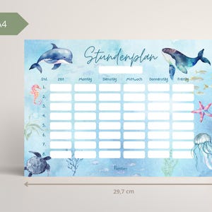 Magnetischer Stundenplan Unterwasserwelt Mädchen, A4 abwischbarer wieder verwendbarer Wochenplan Schule Junge, Geschenkidee Einschulung Meer